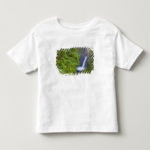 VS, Eagle Creek, Columbia Gorge, Oregon. 2 Kinder Shirts