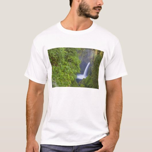 VS, Eagle Creek, Columbia Gorge, Oregon. 2 T-shirt (Voorkant)
