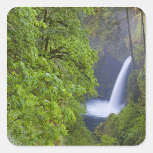 VS, Eagle Creek, Columbia Gorge, Oregon. 2 Vierkante Sticker