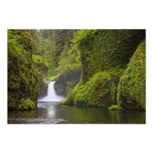 VS, Eagle Creek, Columbia Gorge, Oregon. 3 Foto Afdruk (Voorkant)