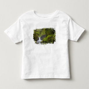 VS, Eagle Creek, Columbia Gorge, Oregon. 3 Kinder Shirts