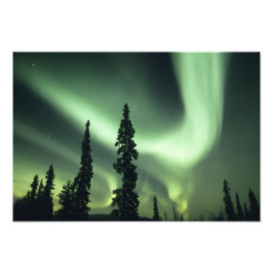 VS, Fairbanks gebied, Centraal Alaska, Aurora 2 Foto Afdruk