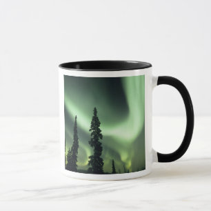VS, Fairbanks gebied, Centraal Alaska, Aurora 2 Mok