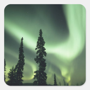 VS, Fairbanks gebied, Centraal Alaska, Aurora 2 Vierkante Sticker