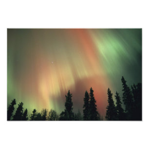 VS, Fairbanks gebied, Centraal Alaska, Aurora 3 Foto Afdruk