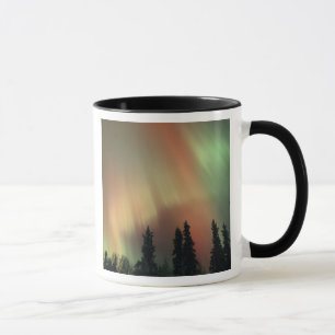 VS, Fairbanks gebied, Centraal Alaska, Aurora 3 Mok
