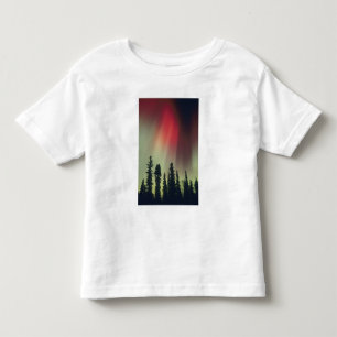 VS, Fairbanks gebied, Centraal Alaska, Aurora Kinder Shirts