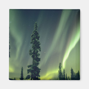 VS, Fairbanks gebied, Centraal Alaska, Aurora Magneet