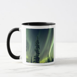 VS, Fairbanks gebied, Centraal Alaska, Aurora Mok