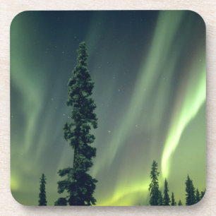 VS, Fairbanks gebied, Centraal Alaska, Aurora Onderzetter