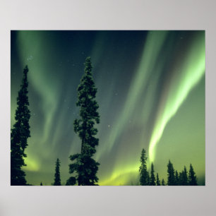VS, Fairbanks gebied, Centraal Alaska, Aurora Poster