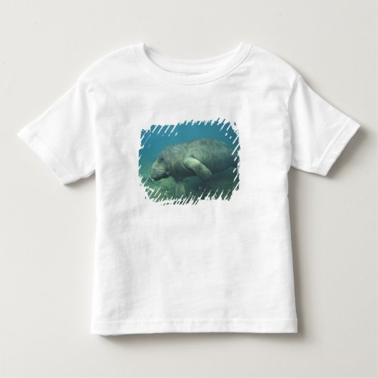 VS, FL, Manatee Kinder Shirts (Voorkant)