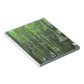 VS, Florida, Apalachicola National Forest, Bald Notitieblok (Schuin)