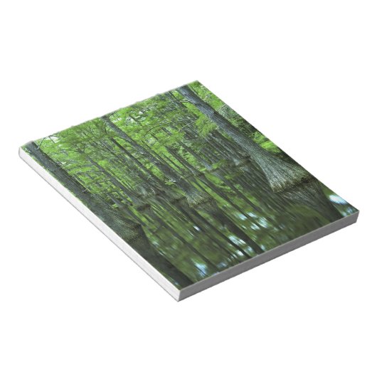 VS, Florida, Apalachicola National Forest, Bald Notitieblok (Schuin)