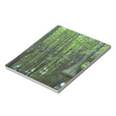 VS, Florida, Apalachicola National Forest, Bald Notitieblok (Linkerzijde)