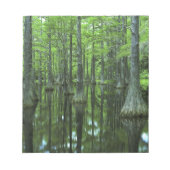 VS, Florida, Apalachicola National Forest, Bald Notitieblok (Voorkant)