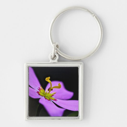 VS, Florida, Big Cypress National Preserve Sleutelhanger (Voorkant)