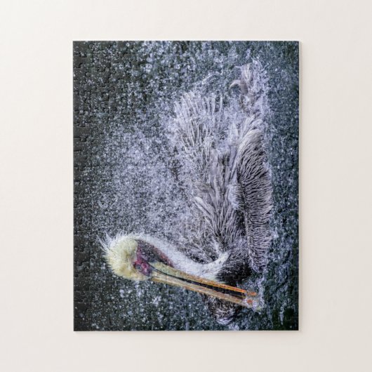 VS, Florida. Brown Pelican Legpuzzel (Verticaal)