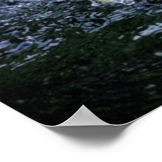 VS, Florida. Brown Pelican Poster (Hoek)