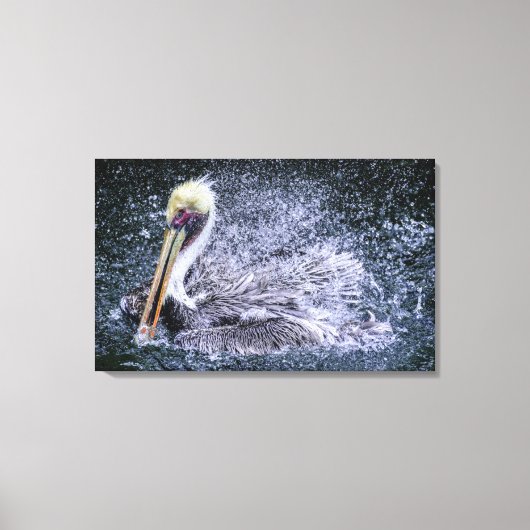 VS, Florida. Bruine Pelikaan Canvas Afdruk (Voorkant)