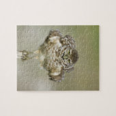 VS, Florida, Cape Coral, Close-up van gravend Legpuzzel (Horizontaal)