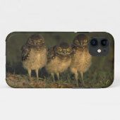 VS, Florida, Cape Coral. Drie Holenuilen Case-Mate iPhone Case (Achterkant (horizontaal))