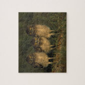 VS, Florida, Cape Coral. Drie Holenuilen Legpuzzel (Verticaal)