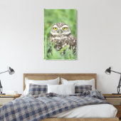 VS, Florida, Cape Coral, Holenuil (Athene Canvas Afdruk (Insitu (Slaapkamer))