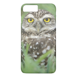 VS, Florida, Cape Coral, Holenuil (Athene Case-Mate iPhone Case