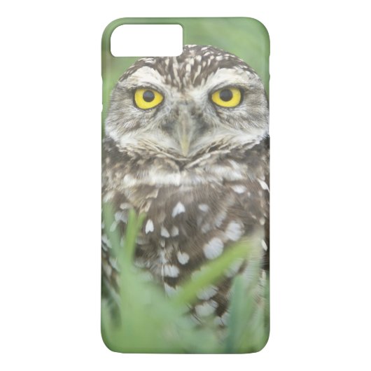 VS, Florida, Cape Coral, Holenuil (Athene Case-Mate iPhone Case (Achterkant)