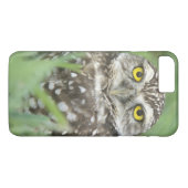 VS, Florida, Cape Coral, Holenuil (Athene Case-Mate iPhone Case (Achterkant (Horizontaal))