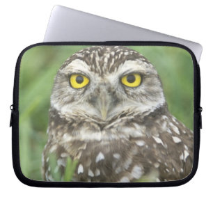 VS, Florida, Cape Coral, Holenuil (Athene Laptop Sleeve