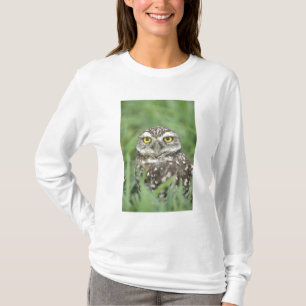 VS, Florida, Cape Coral, Holenuil (Athene T-shirt