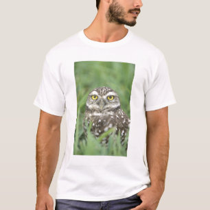 VS, Florida, Cape Coral, Holenuil (Athene T-shirt