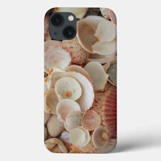 VS, Florida. Close-up van schelpen op Santa Rosa Case-Mate iPhone Case (Achterkant)