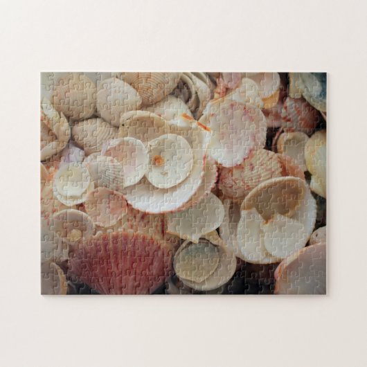 VS, Florida. Close-up van schelpen op Santa Rosa Legpuzzel (Horizontaal)