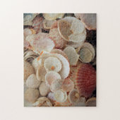 VS, Florida. Close-up van schelpen op Santa Rosa Legpuzzel (Verticaal)