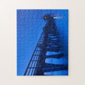 VS, Florida, Golfkust, Naples, Naples Pier Legpuzzel (Verticaal)