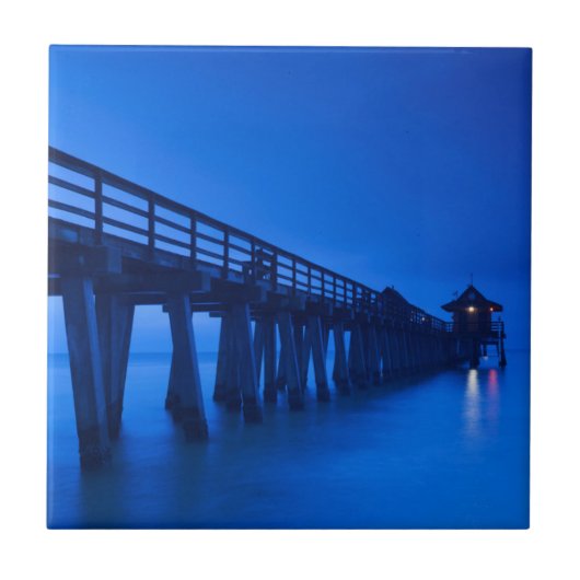 VS, Florida, Golfkust, Naples, Naples Pier Tegeltje (Voorkant)