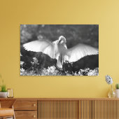 VS, Florida, Grote Zilverreiger (Ardea alba) infra Canvas Afdruk (Insitu (Woonkamer))