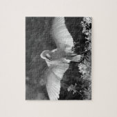 VS, Florida, Grote Zilverreiger (Ardea alba) infra Legpuzzel (Verticaal)