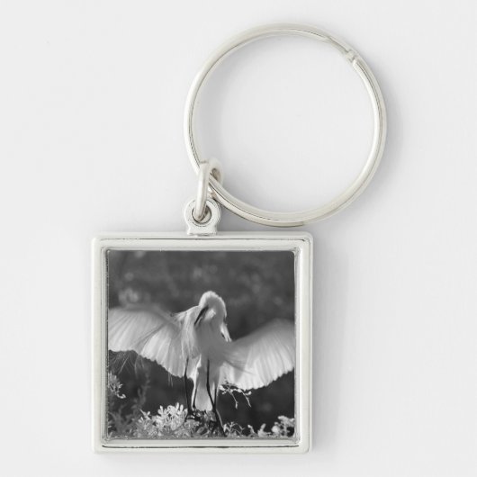 VS, Florida, Grote Zilverreiger (Ardea alba) infra Sleutelhanger (Voorkant)
