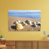 VS, Florida, Kustzee Schelpen Canvas Afdruk (Insitu (Woonkamer))