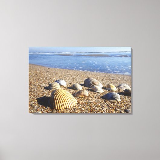 VS, Florida, Kustzee Schelpen Canvas Afdruk (Voorkant)