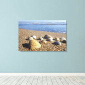 VS, Florida, Kustzee Schelpen Canvas Afdruk (Insitu (Houten vloer))