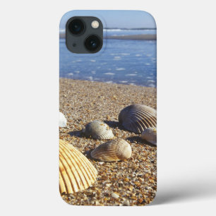 VS, Florida, Kustzee Schelpen Case-Mate iPhone Case