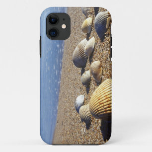 VS, Florida, Kustzee Schelpen iPhone 11 Hoesje