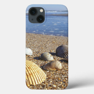 VS, Florida, Kustzee Schelpen Case-Mate iPhone Case