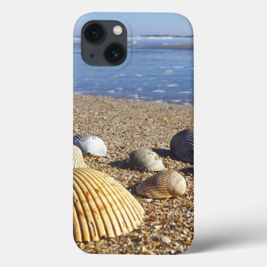 VS, Florida, Kustzee Schelpen Case-Mate iPhone Case (Achterkant)