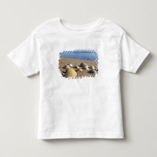 VS, Florida, Kustzee Schelpen Kinder Shirts
